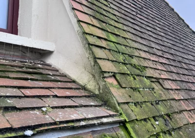 mousse traitement toiture essonne