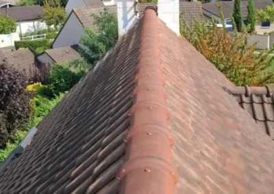 Faitage rénovation essonne