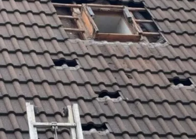 remplacement Velux 91